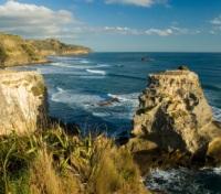 Muriwai Beach 